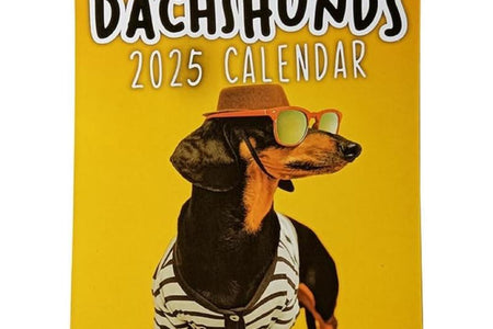 2025 Calendar: Schedule Planner, Ideal Halloween & Christmas Gift
